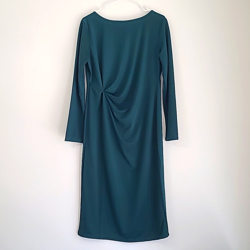 Long-sleeved temu dress NWOT!
